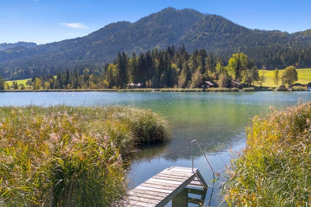 Idyllischer Holzsteg am Ufer eines klaren Bergsees, umgeben von üppiger Natur und Bergpanorama.