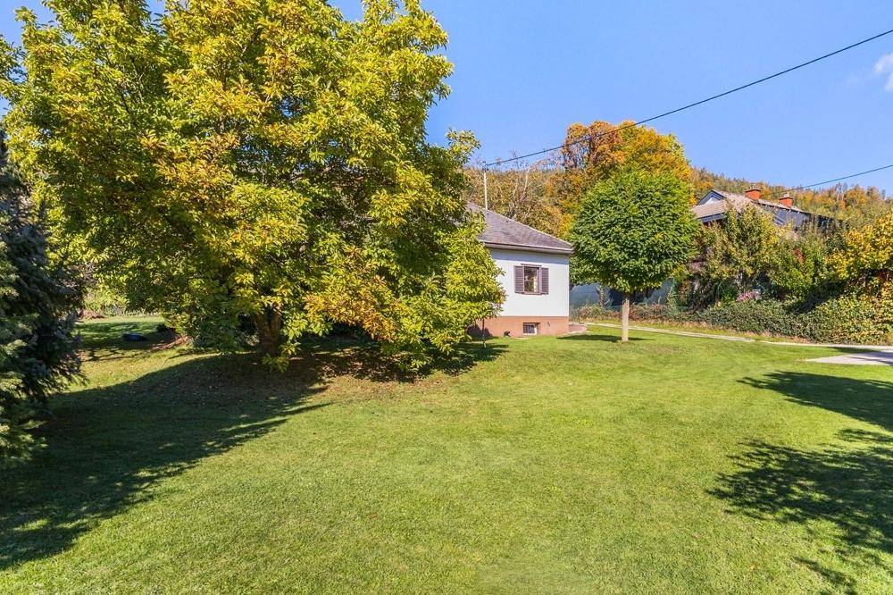 Weitläufiger grüner Garten mit altem Baumbestand und Blick auf das Einfamilienhaus.