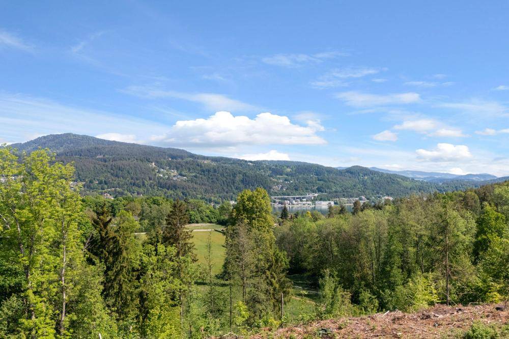Panoramablick über eine bewaldete Hügellandschaft mit Bergen und einem entfernten See unter blauem Himmel.