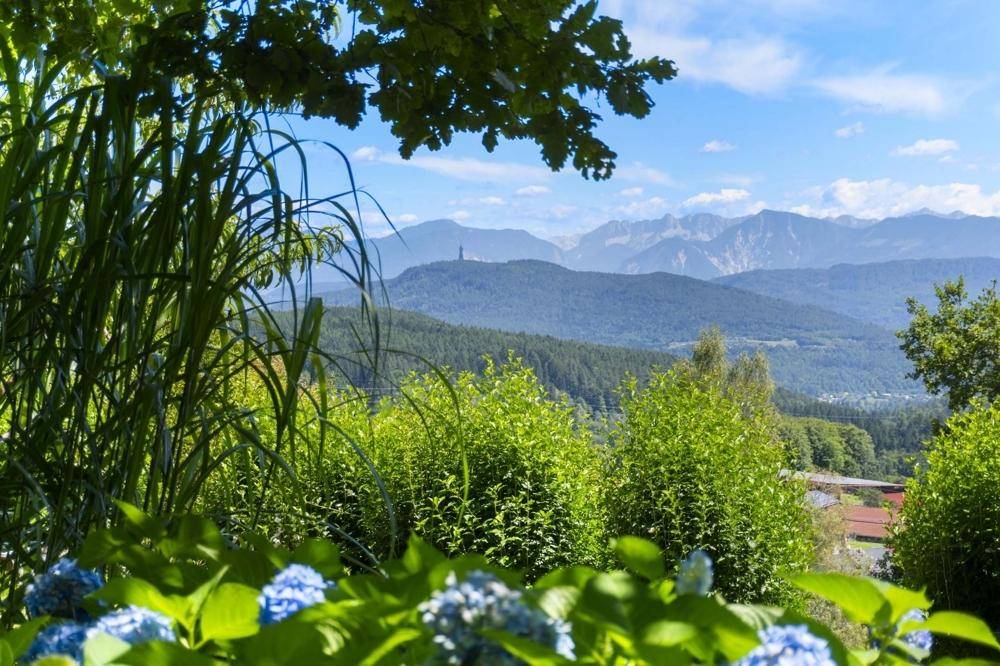 Panoramablick auf die weite Berglandschaft, umrahmt von üppiger Vegetation und blauem Himmel.