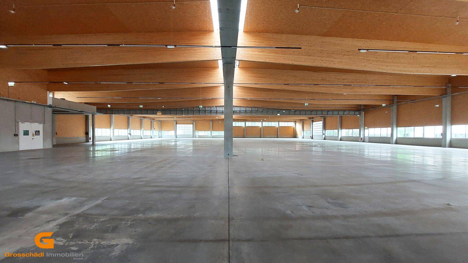Weitläufige Industriehalle mit sichtbaren Holzträgern, Betonboden und durchgehenden Fensterfronten.