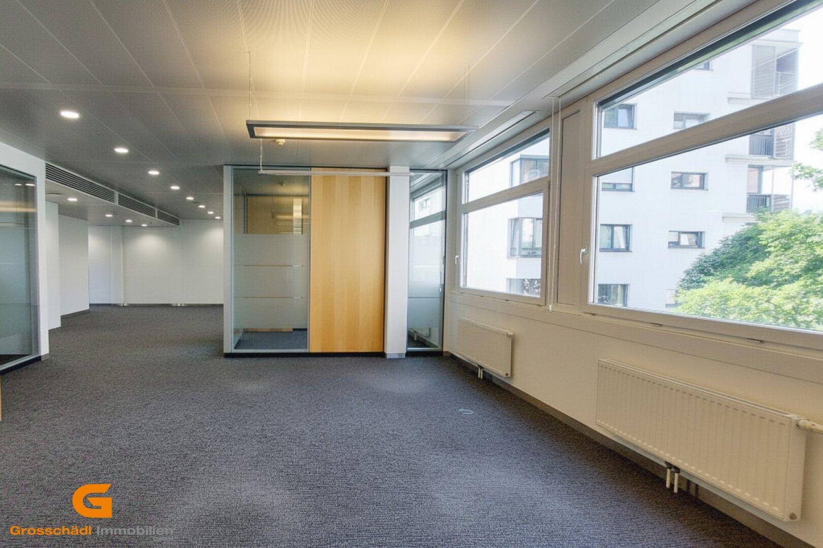 Geräumiges, leeres Büro mit Teppichboden, großen Fenstern und modernen Glasabtrennungen.