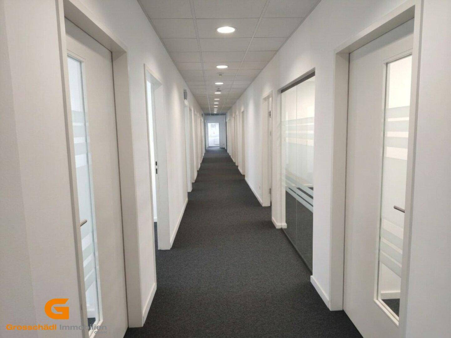 Langer, heller Flur mit Teppichboden, weißen Türen und Deckenbeleuchtung.