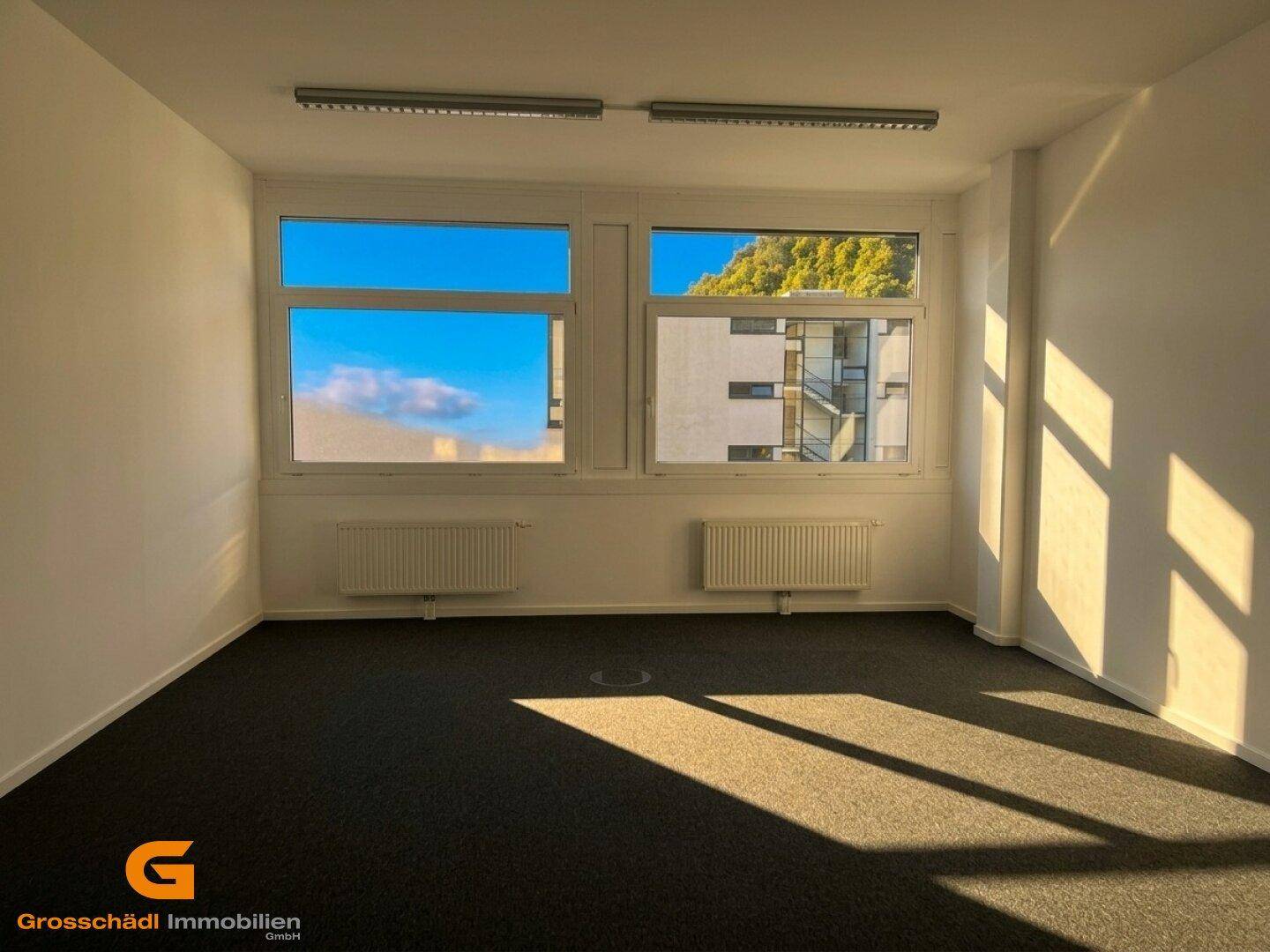 Leerer Büroraum mit Teppichboden, großen Fenstern und sonniger Atmosphäre.