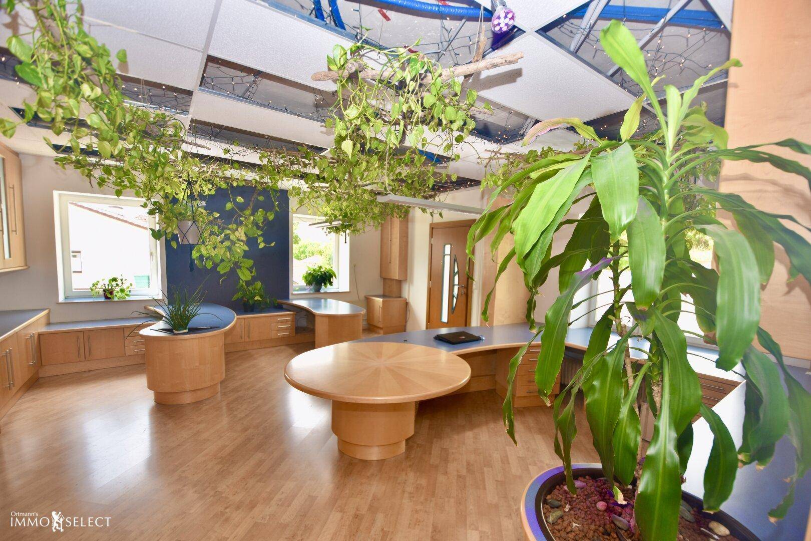 Helles Büro mit Holzmöbeln, blauen Akzenten und üppigen Hängepflanzen, die eine angenehme Arbeitsatmosphäre schaffen.