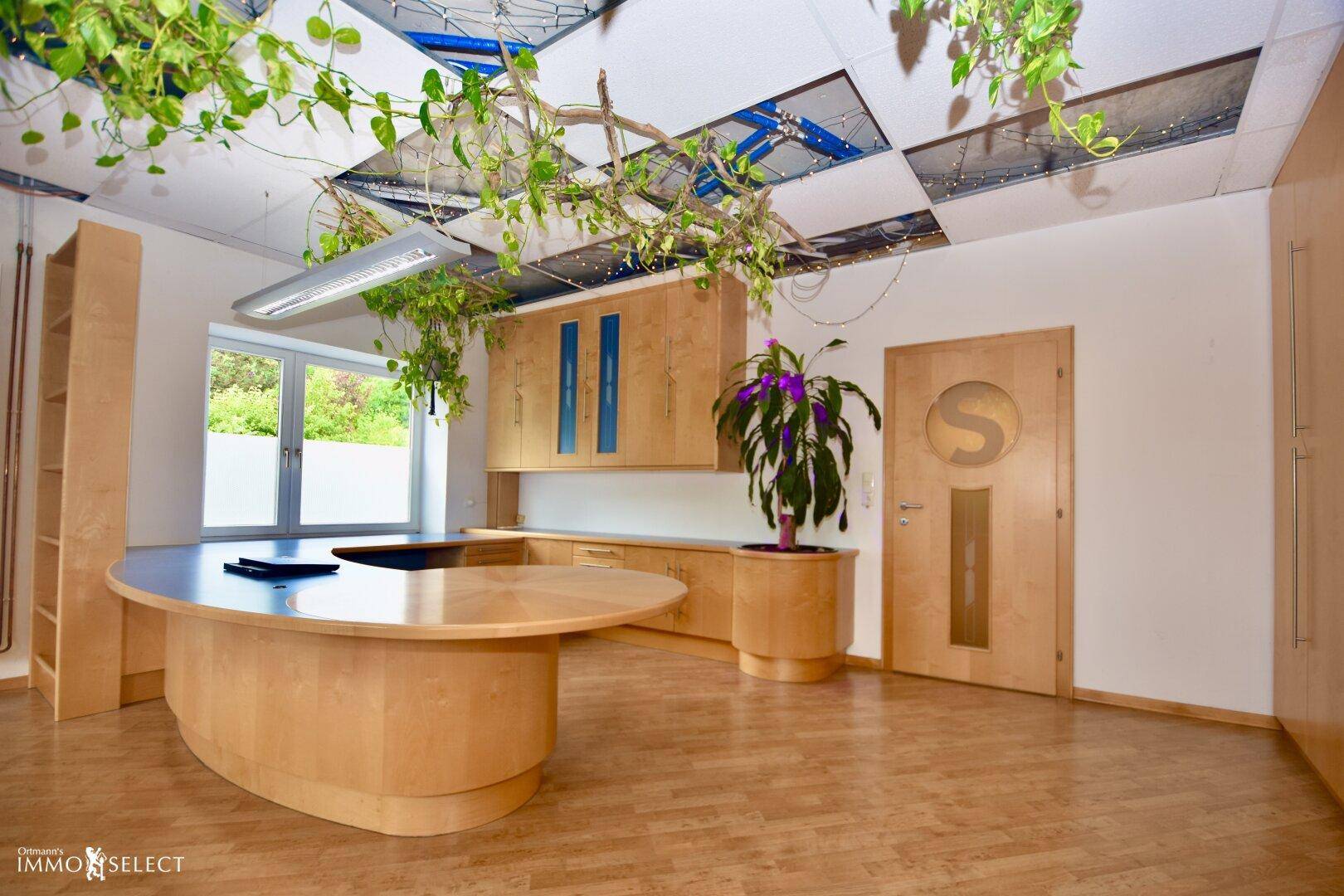 Helles Büro mit Holzmöbeln, blauen Akzenten und üppigen Hängepflanzen, die eine angenehme Arbeitsatmosphäre schaffen.