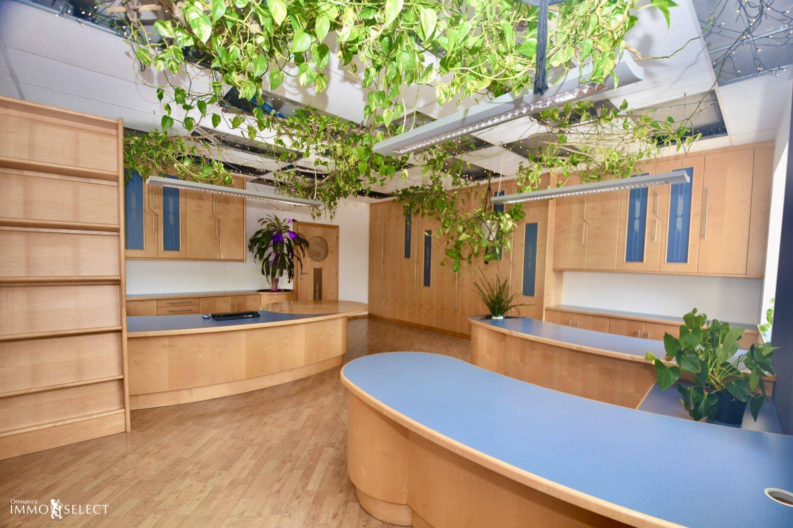 Großes Büro mit mehreren Arbeitsbereichen, Holzmöbeln, blauen Akzenten und Hängepflanzen an der Decke.