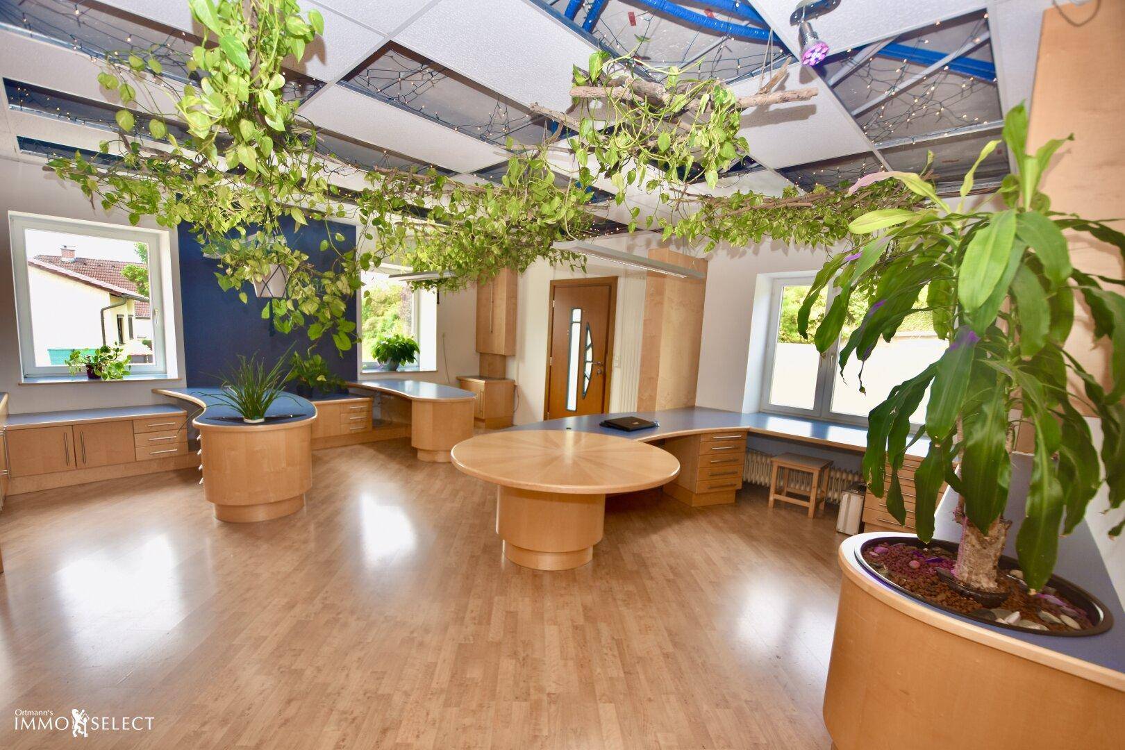 Geräumiges Büro mit mehreren Arbeitsbereichen, Holzmöbeln, blauen Akzenten und üppigen Hängepflanzen.
