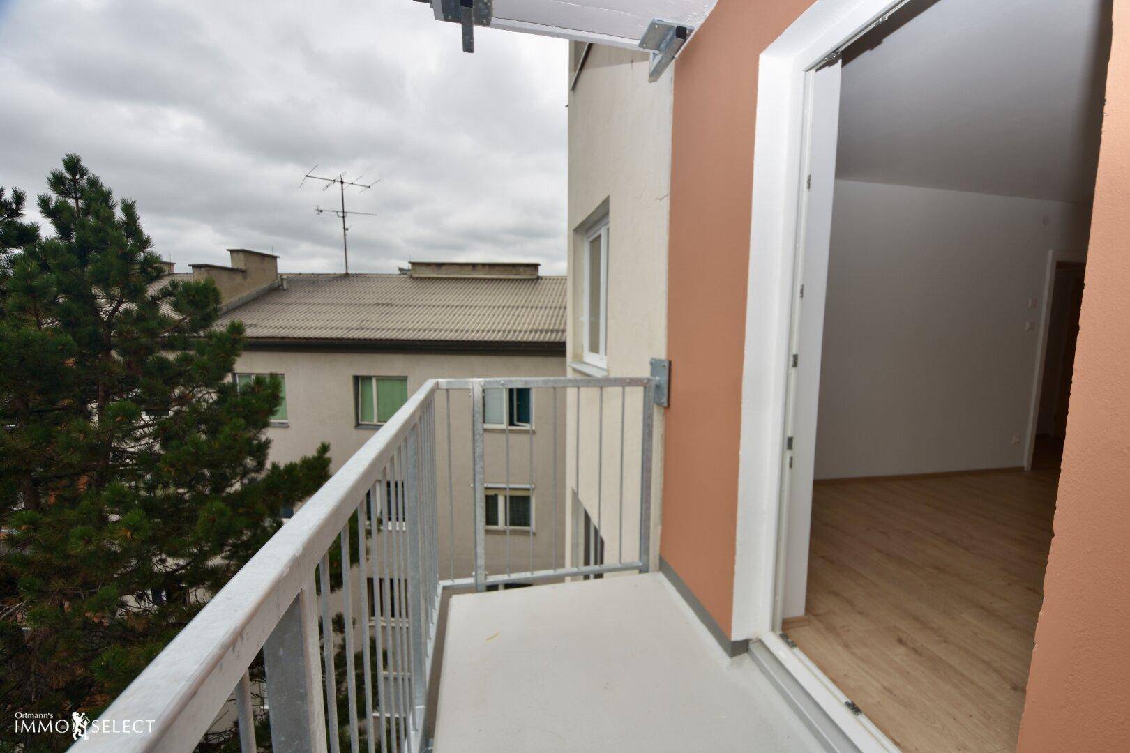 Slide 7