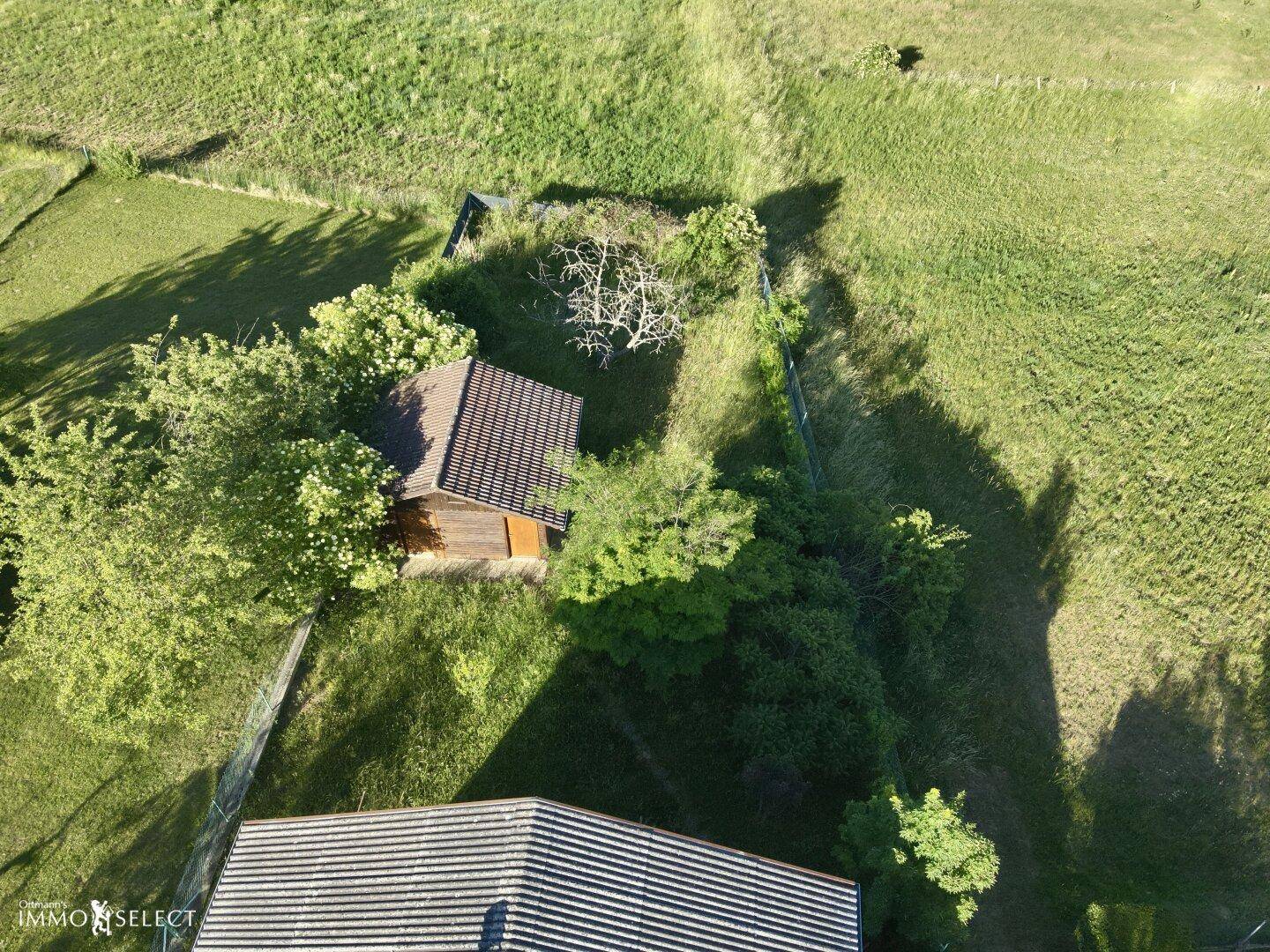 Nahaufnahme aus der Luft eines kleinen Gartenschuppens, umgeben von Bäumen und üppigem Grün.