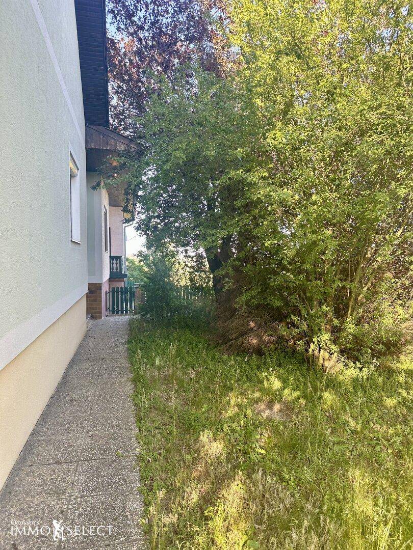 Schmaler Gehweg entlang der Hausseite, umgeben von üppigem Grün und hohen Büschen.
