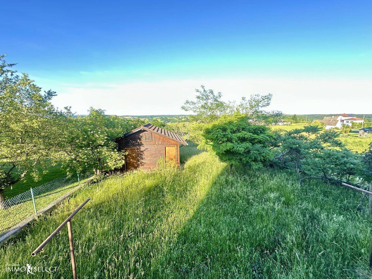 Weitläufige grüne Wiese mit einem kleinen Holzschuppen unter blauem Himmel.