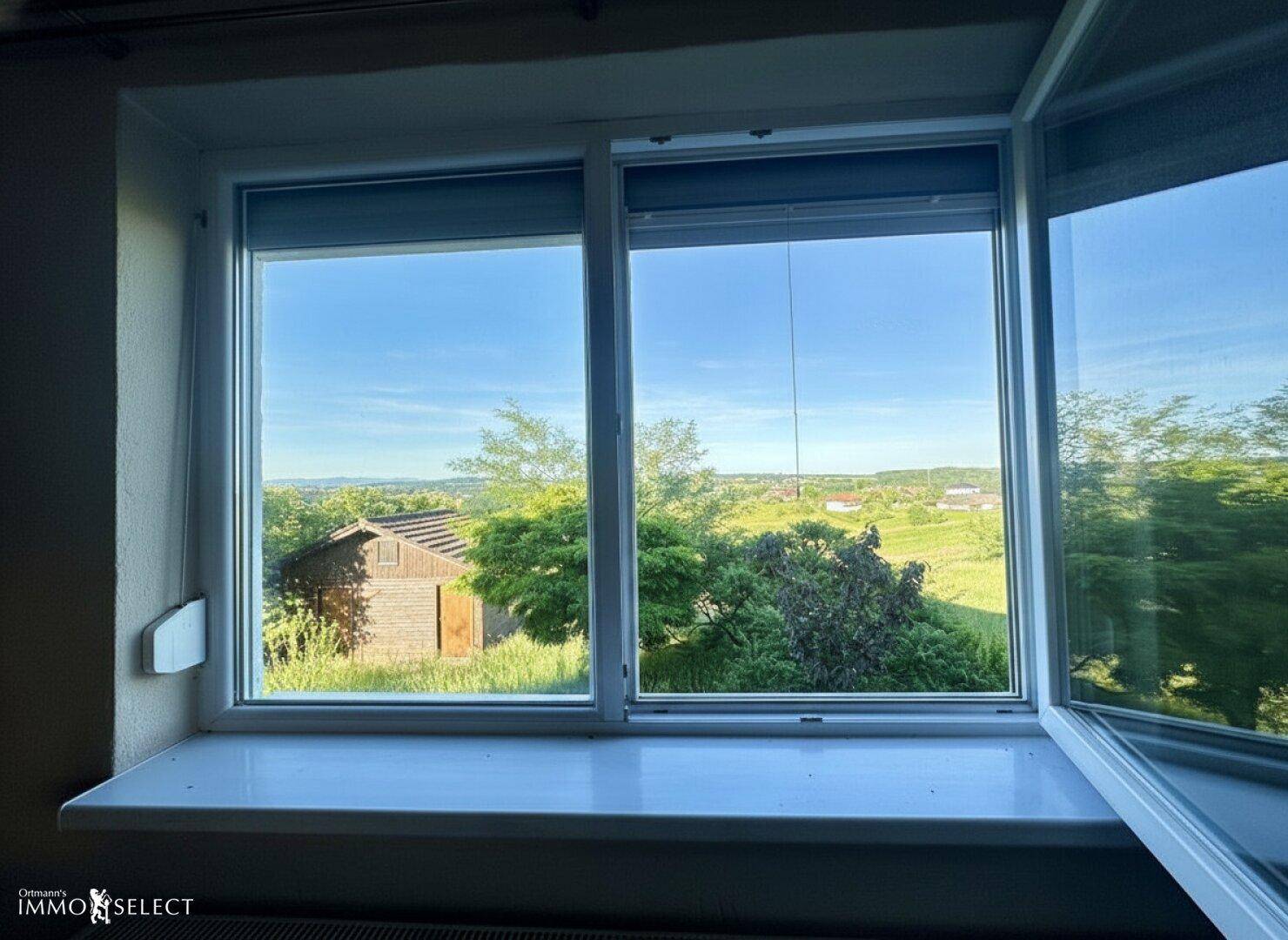 Fensterblick auf die weite grüne Landschaft mit einem kleinen Holzschuppen und Bäumen.