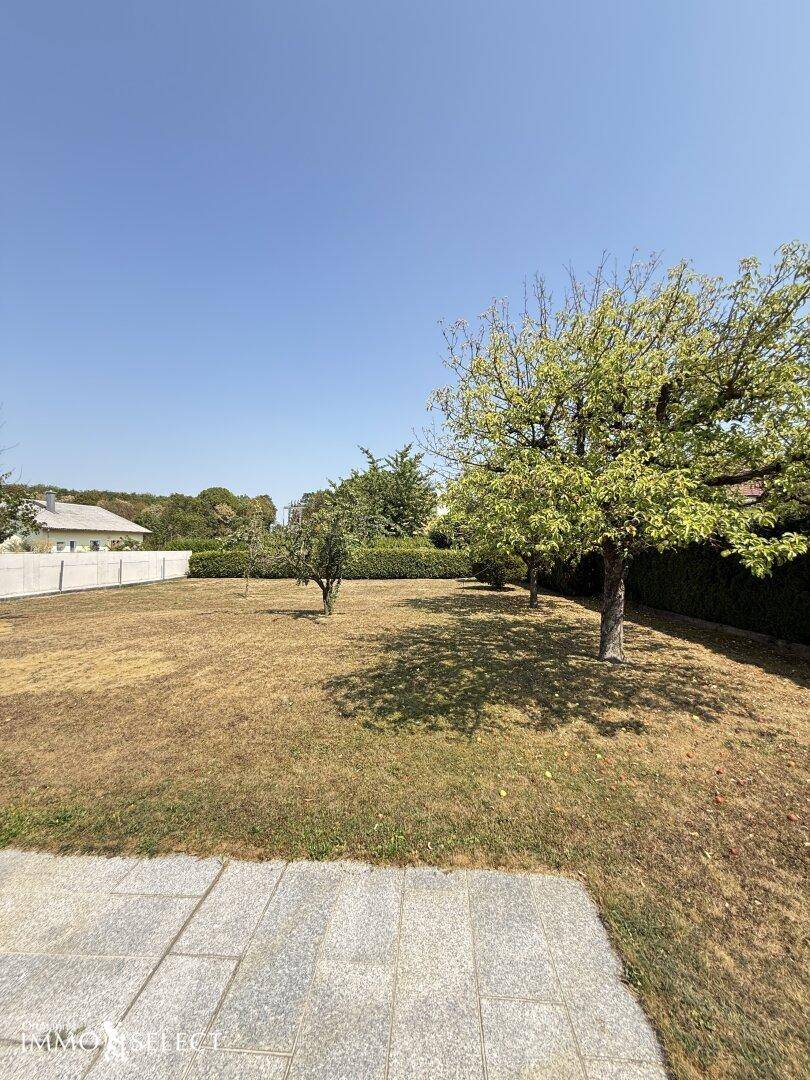Weitläufiger Gartenbereich mit trockenem Rasen und einigen Bäumen, angrenzend an eine gepflasterte Fläche.