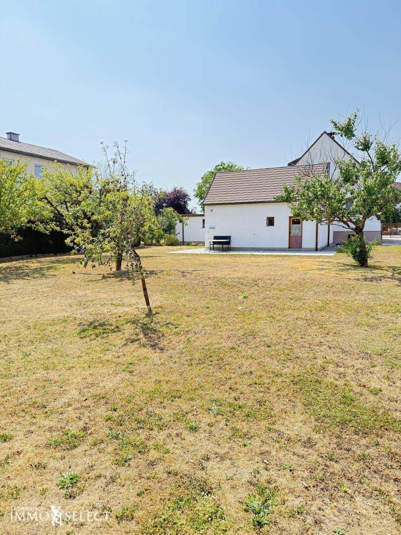 Weitläufiger Garten mit trockenem Rasen und Bäumen, im Hintergrund ist die Rückseite des Hauses sichtbar.