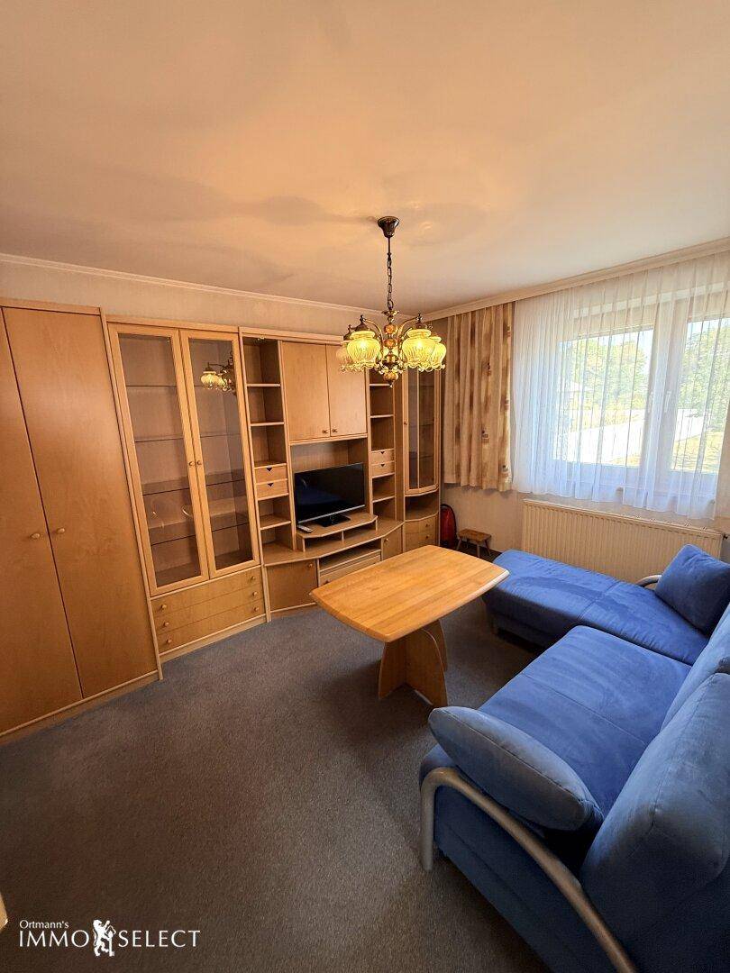 Gemütliches Wohnzimmer mit blauem Sofa, Holzmöbeln und Teppichboden, ausgestattet mit einer großen Schrankwand.