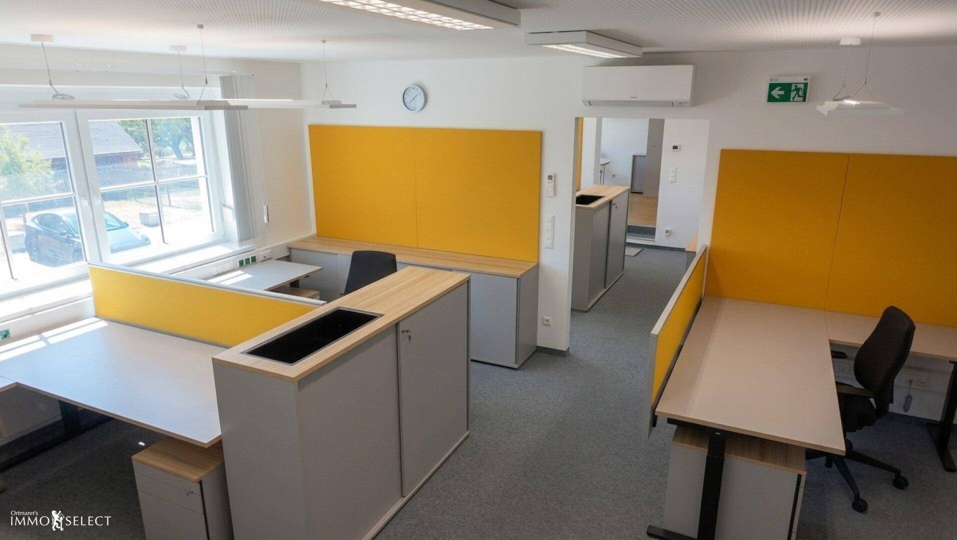 Großes, offenes Büro mit modernen Arbeitsplätzen, gelben Trennwänden und viel Tageslicht.