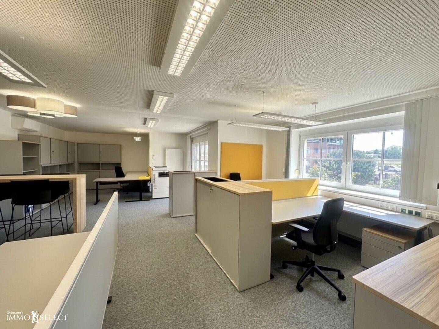 Weitläufiges Büro mit zahlreichen Arbeitsplätzen, Teppichboden und großen Fenstern.