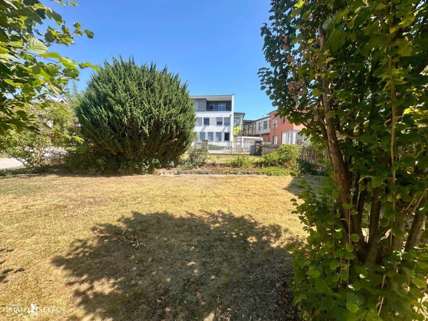 Grüner Garten mit Rasenfläche und einem großen Busch, im Hintergrund ein modernes Gebäude.
