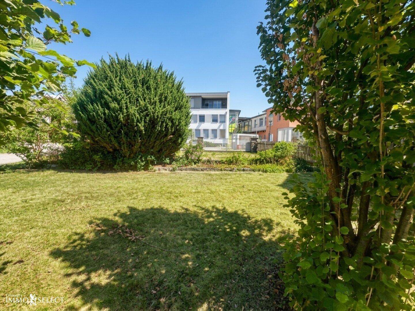 Gepflegter Garten mit sattgrünem Rasen, großem Busch und Blick auf ein modernes Gebäude.