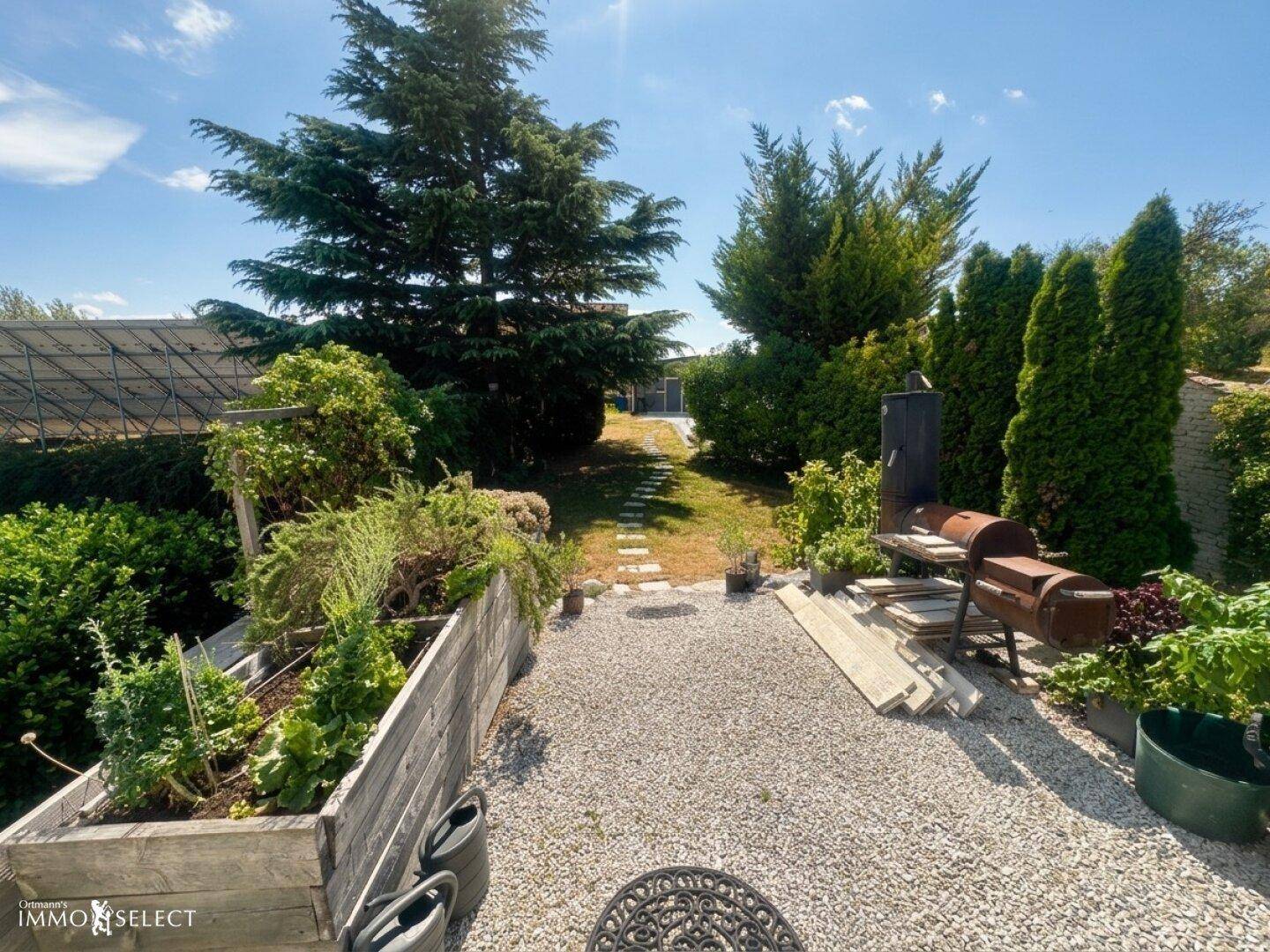 Gepflegter Garten mit Hochbeeten, Kiesweg und hohen Bäumen unter blauem Himmel.