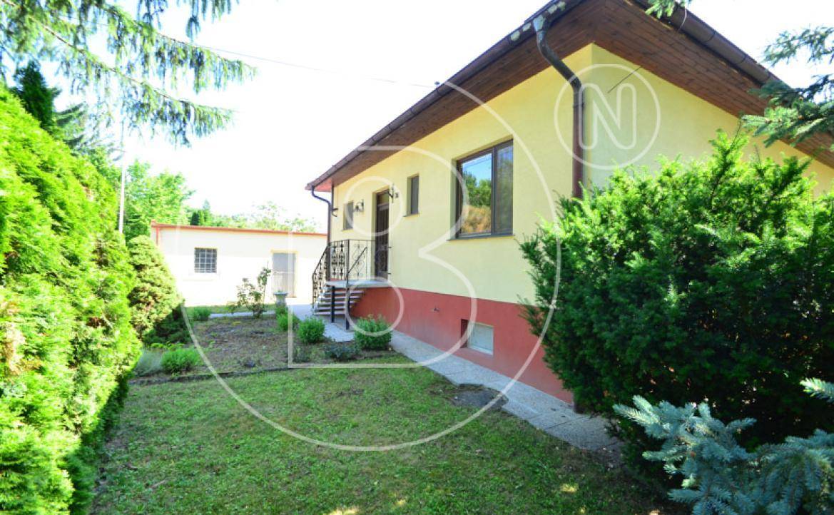 Slide 8