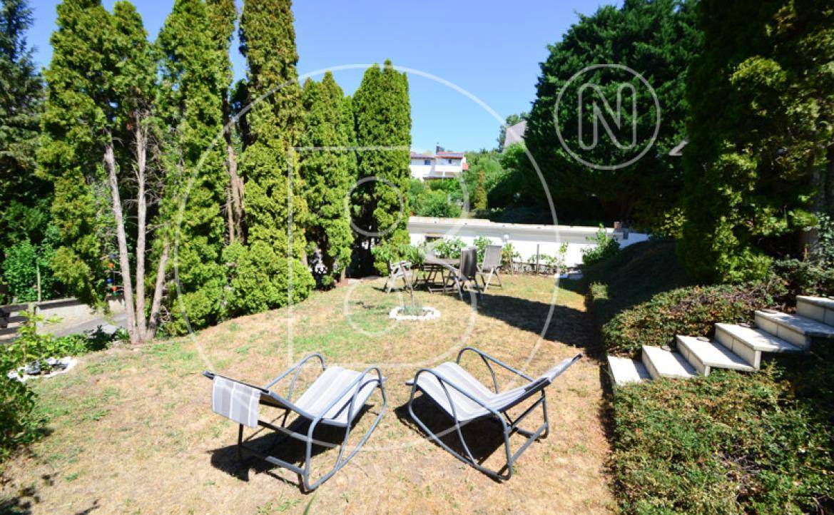 Entspannender Gartenbereich mit Liegestühlen und einem Esstisch, umgeben von hohen Hecken und Bäumen.