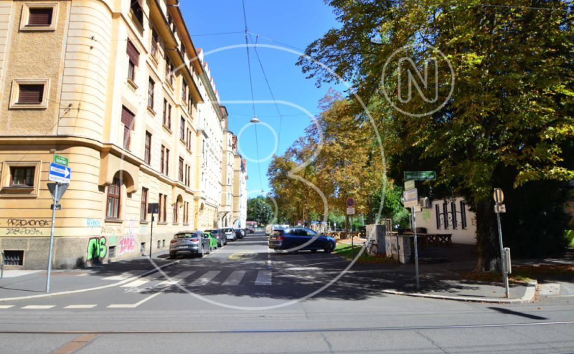 Eine ruhige Wohnstraße mit parkenden Autos und Bäumen, die zu einem Platz führt.