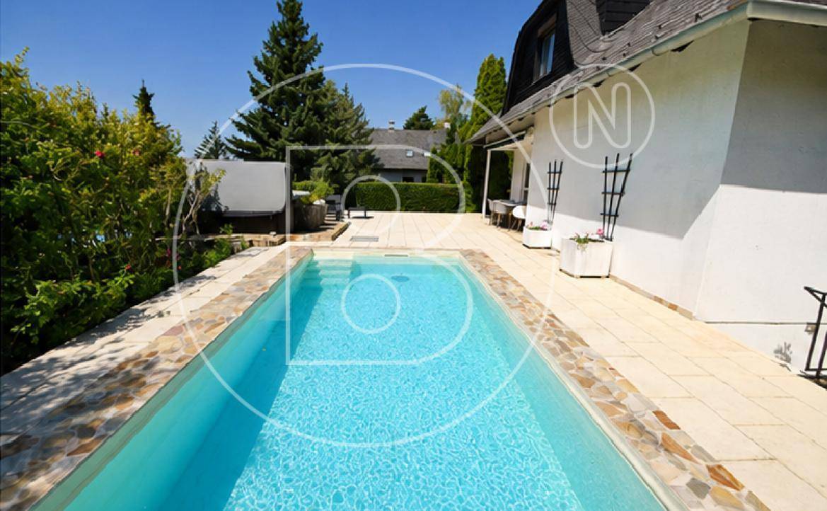 Langer Swimmingpool mit Steineinfassung und weitläufiger Sonnenterrasse am Haus.