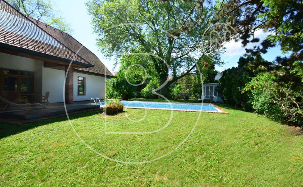Großer Garten mit Swimmingpool und angrenzender Terrasse, umgeben von üppigem Grün.