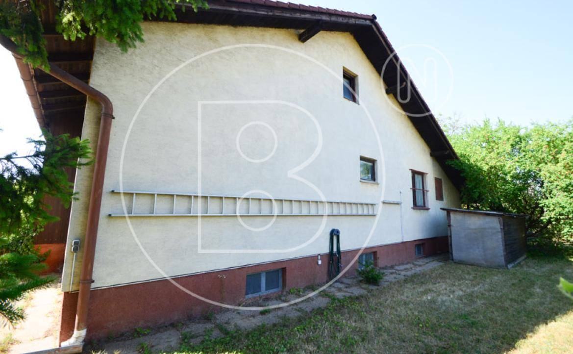 Slide 8