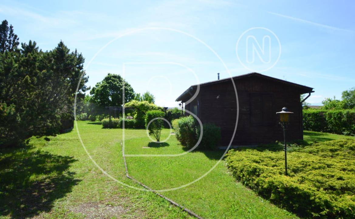 Slide 4