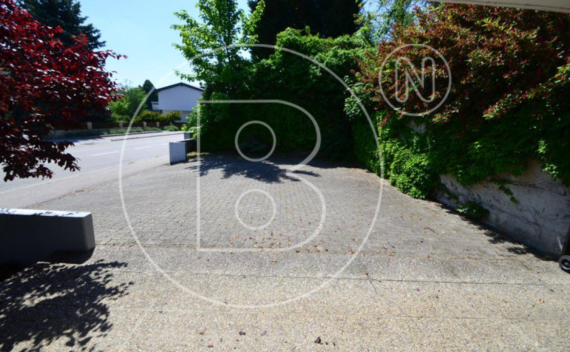 Gepflasterte Zufahrt und Parkfläche vor dem Haus, umgeben von Bäumen und Sträuchern.