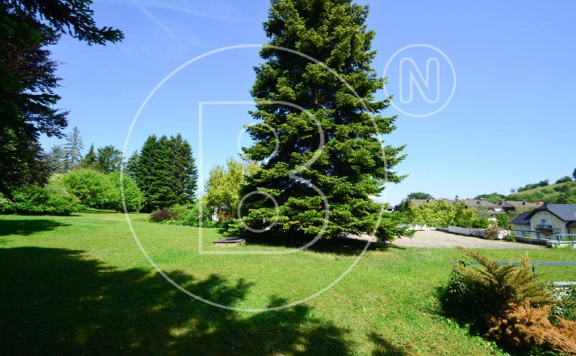 Weitläufige Grünfläche mit einem hohen Nadelbaum und Blick auf die Umgebung.
