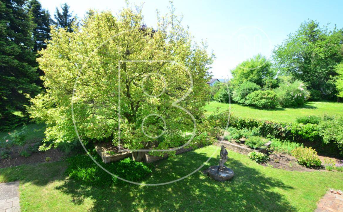 Großer, alter Baum im weitläufigen Garten, umgeben von üppigem Grün und Blumenbeeten.