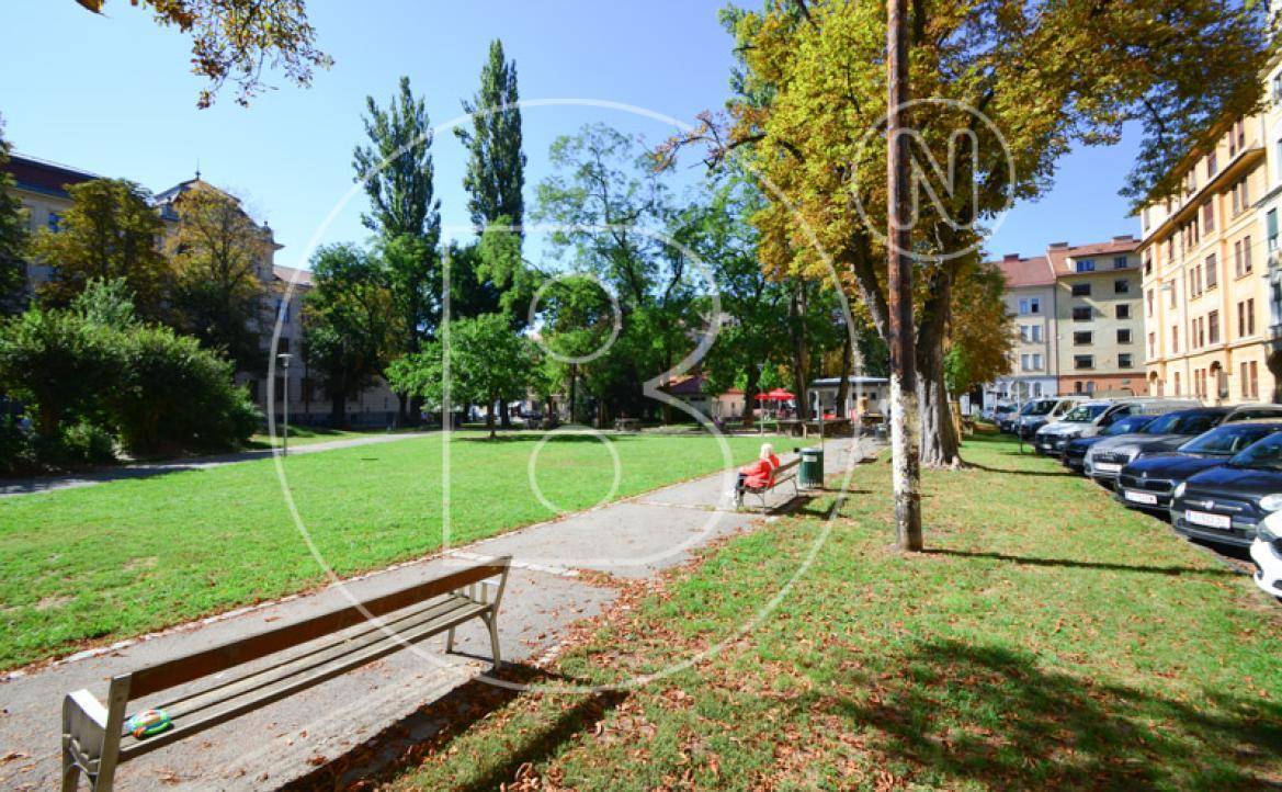 Sonniger Park mit weitläufigen Rasenflächen, hohen Bäumen und Sitzbänken, umgeben von städtischen Gebäuden.