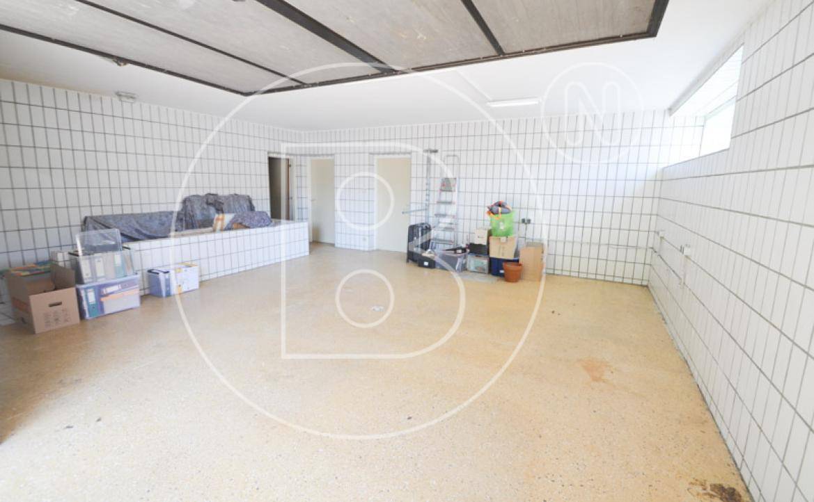 Großer Kellerraum mit weißen Wandfliesen und Betonboden, vielseitig nutzbar.