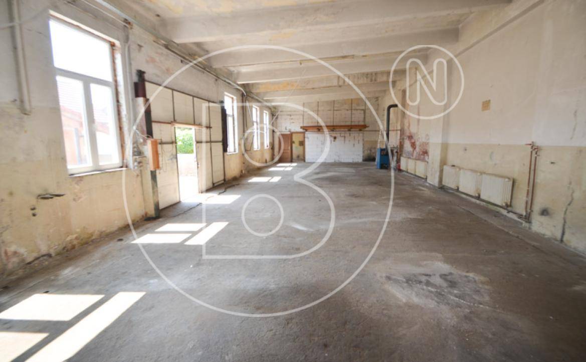 Geräumige Lagerhalle oder Werkstatt mit Betonboden und Tageslicht, ideal für gewerbliche Nutzung.
