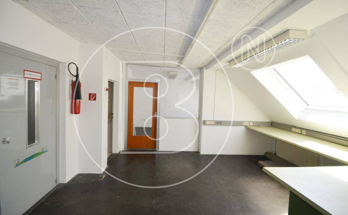 Geräumiger Werkstattraum mit dunklem Boden, Dachschräge und Oberlicht für Tageslicht.