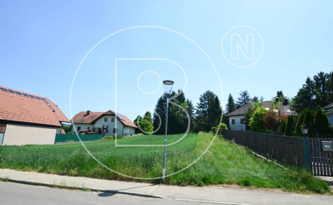 Straßenansicht mit einem unbebauten Grundstück, umgeben von Bäumen und Wohnhäusern in der Ferne.
