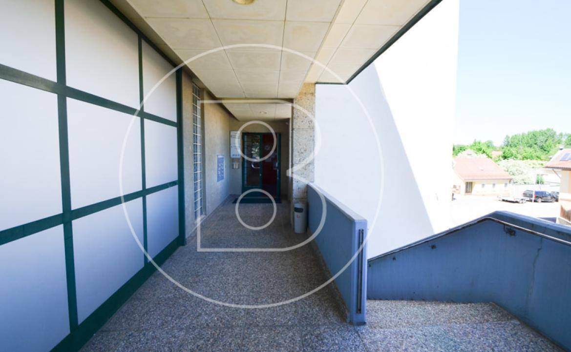 Außenbereich mit einem Gehweg, der zu einem Eingang führt, und einer Rampe oder Treppe.