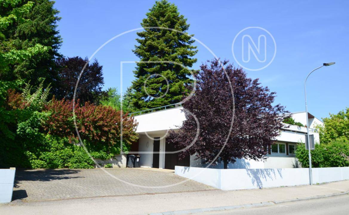 Modernes Haus mit weißer Fassade, Flachdach und gepflegter Bepflanzung im Vorgarten.