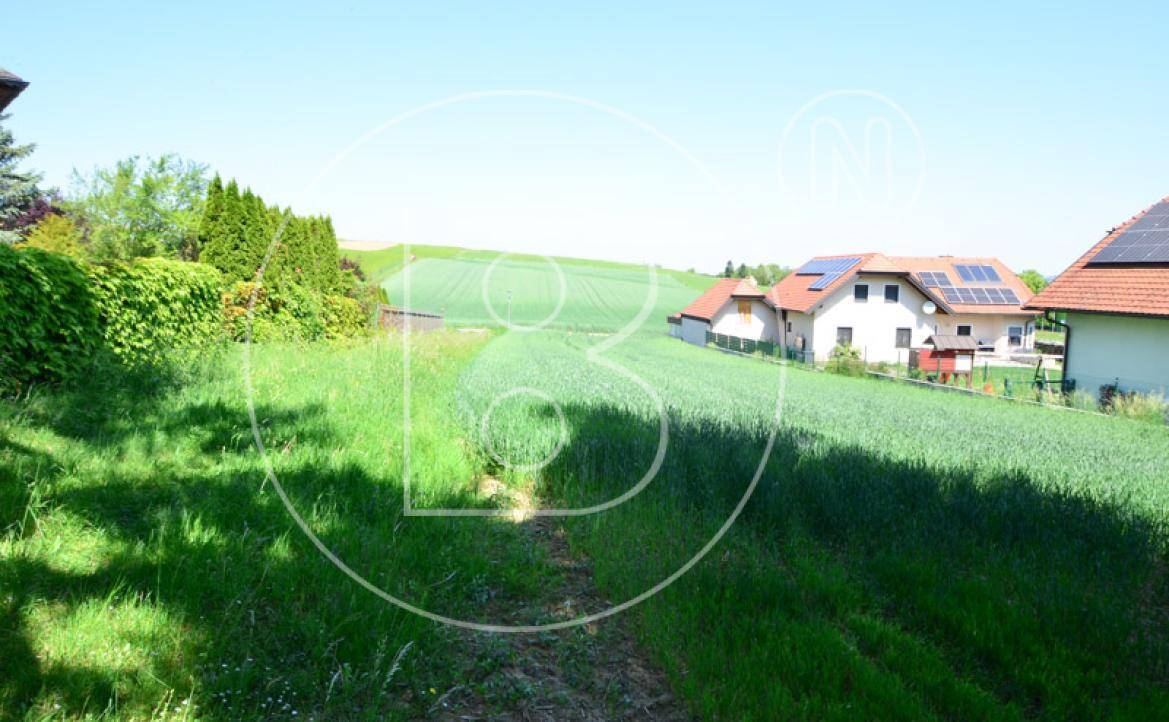 Weite Felder und grüne Hügel mit Häusern, die Solaranlagen auf den Dächern tragen.