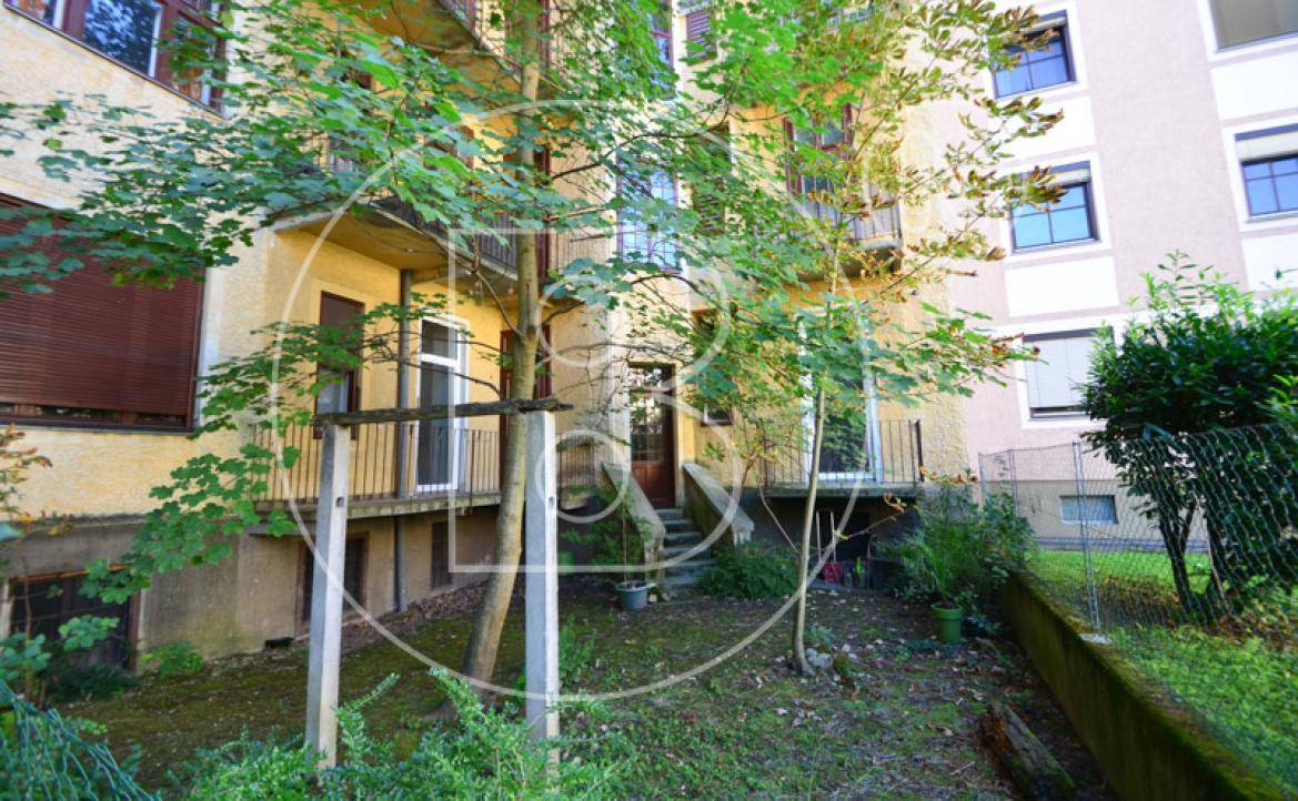 Ein kleiner, verwilderter Gartenbereich hinter dem Gebäude mit Bäumen und Sträuchern.