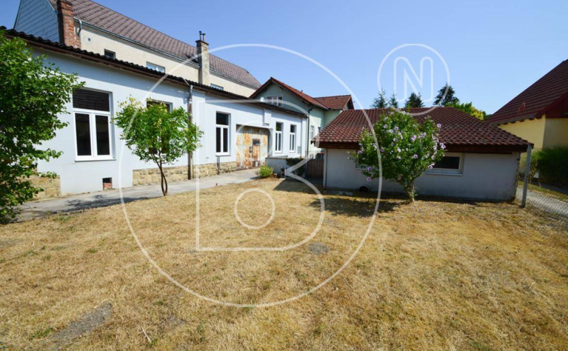 Rückansicht des Hauses mit Gartenbereich, Bäumen und Sträuchern unter blauem Himmel.