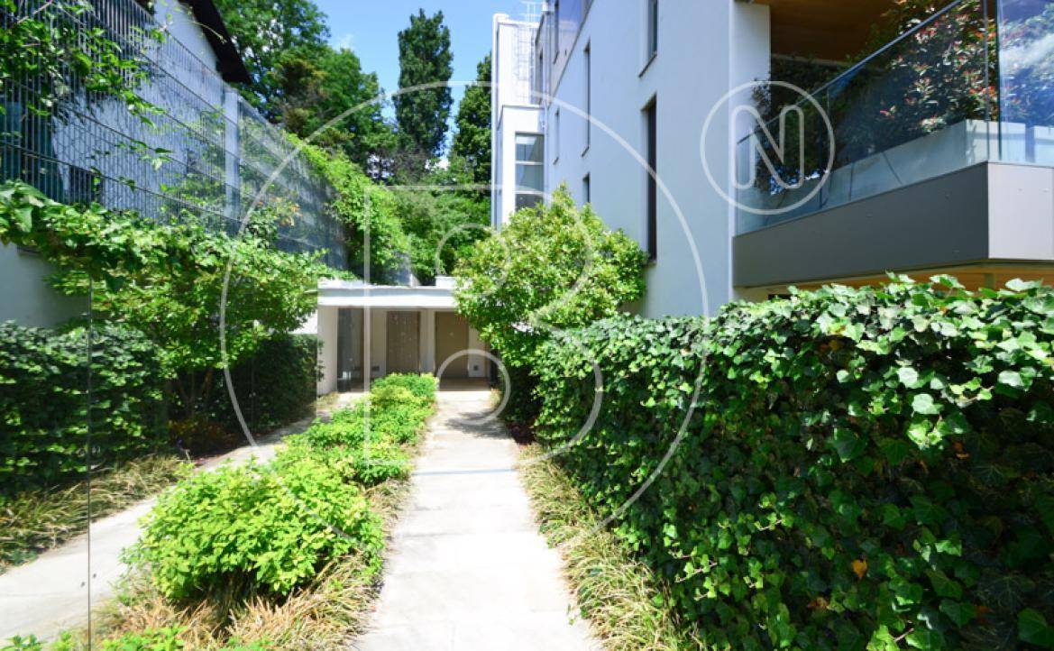 Gepflegter Gartenweg mit hohen Hecken und üppigem Grün, der zum Gebäude führt.