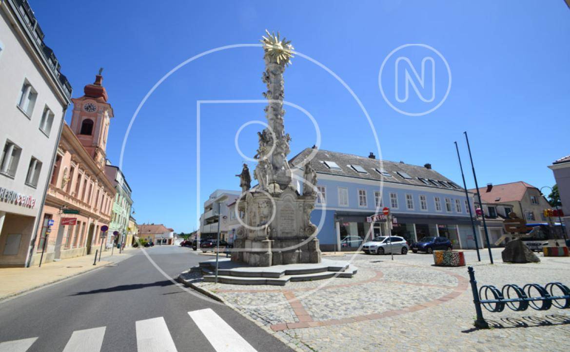 Historischer Stadtplatz mit einem Denkmal und umliegenden Gebäuden unter blauem Himmel.