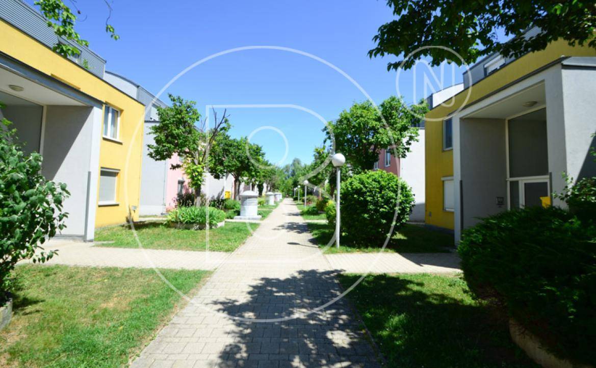 Wohnanlage mit farbigen Fassaden und einem grünen Fußweg zwischen den Gebäuden.