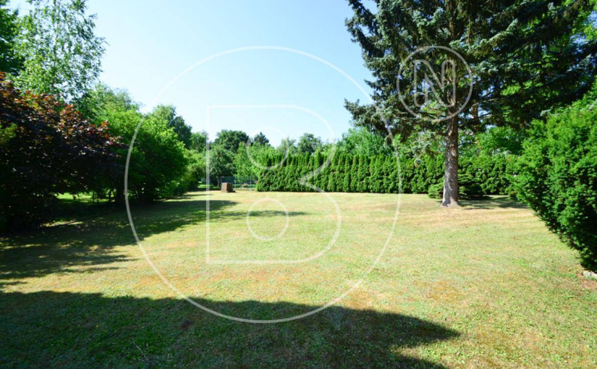 Slide 5