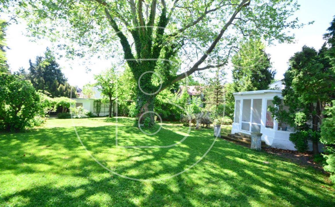 Sonniger Gartenbereich mit altem Baumbestand und einem kleinen, weißen Gartenhaus.
